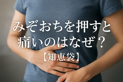 みぞおちを押すと痛いのはなぜ？【知恵袋】