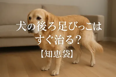 犬の後ろ足びっこはすぐ治る？【知恵袋】